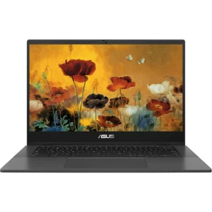 ASUS Chromebook 14" Business, 4GB RAM, 320GB Storage, Gray, Windows 11 Home